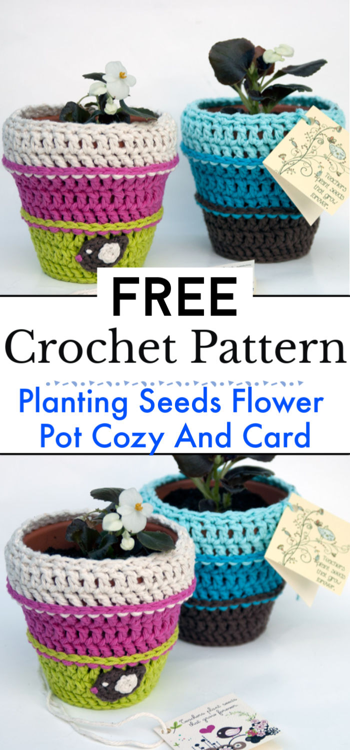 10 Free Crochet Flower Pot Patterns - Crochet with Patterns