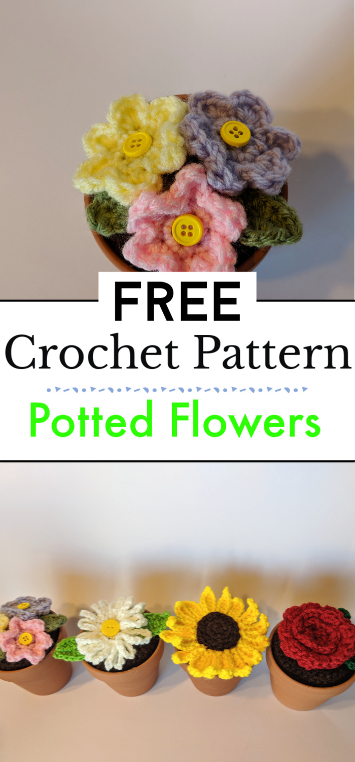 10 Free Crochet Flower Pot Patterns - Crochet with Patterns